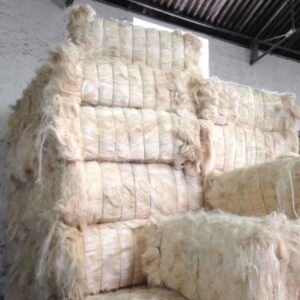 Sisal Fiber