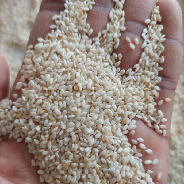 Sesame Seeds